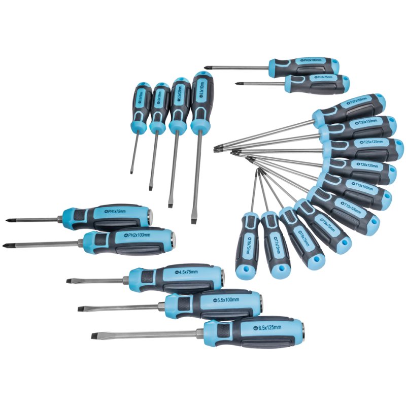 QUANTOOL Schroevendraaier set 21-delig zwart/blauw